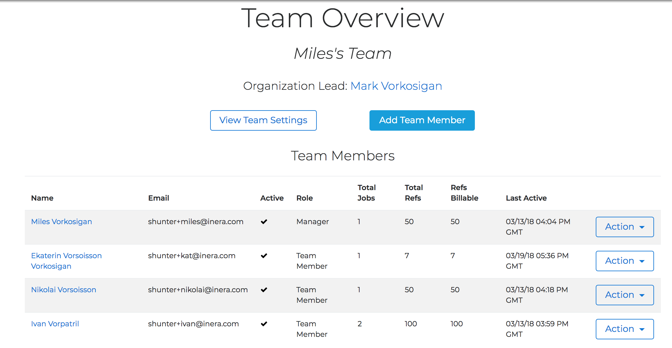 The Team Overview page showing the list of Team Members and an Add Team Member button